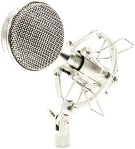 r2 ribbon 272x300 - Home Studio Vocal Microphone Guide
